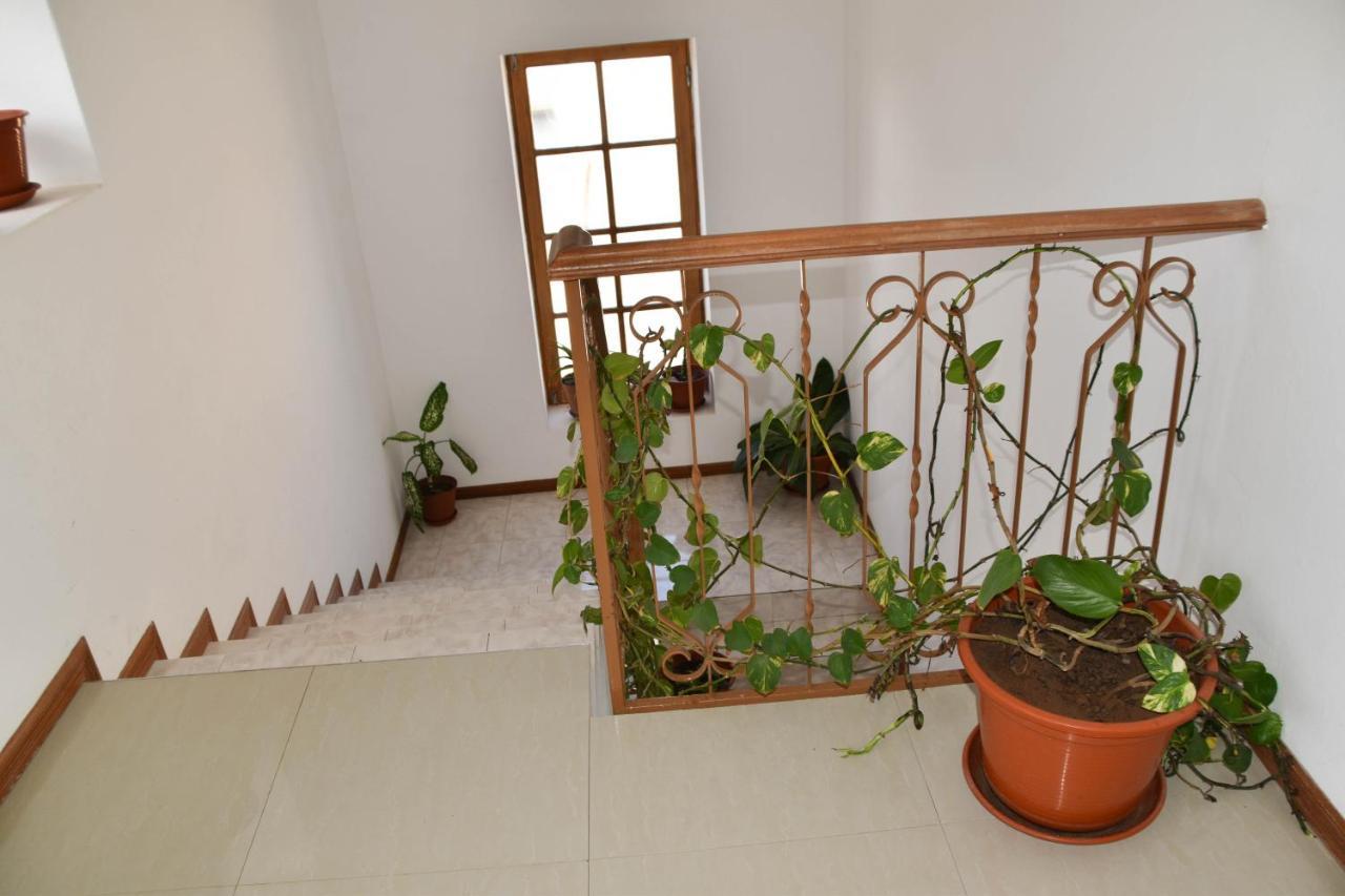 Residencial Vitoria Otel Ponta Do Sol Dış mekan fotoğraf
