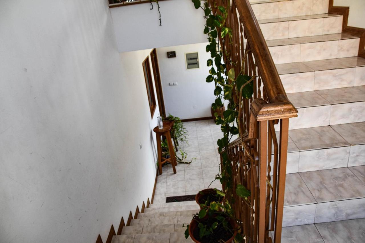 Residencial Vitoria Otel Ponta Do Sol Dış mekan fotoğraf